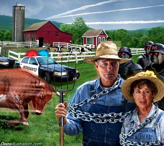 monsanto 